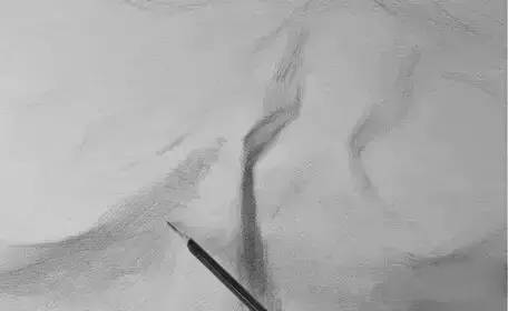 1555903286645577.jpg 5.jpg